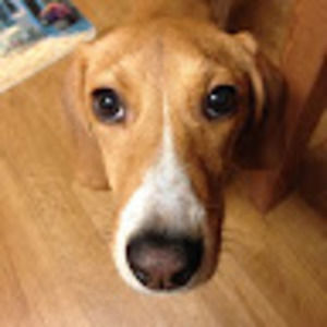 Meet your Posher, Hyun